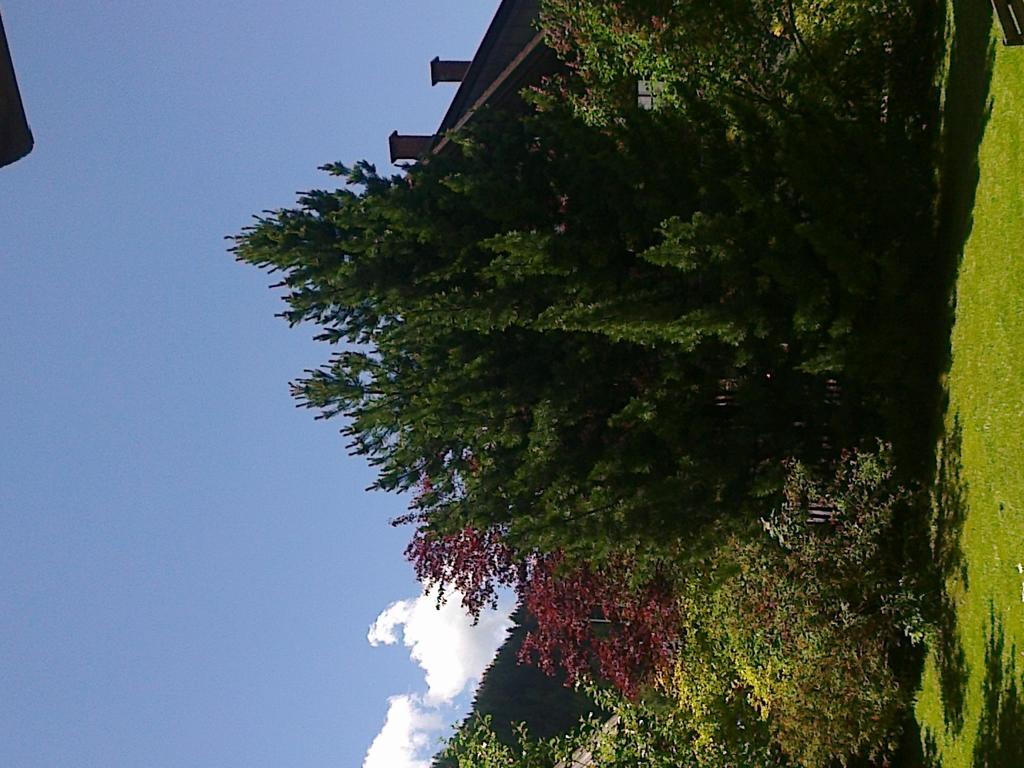 Ferienhaus Zipfmatl Keusche Bad Kleinkirchheim Dış mekan fotoğraf